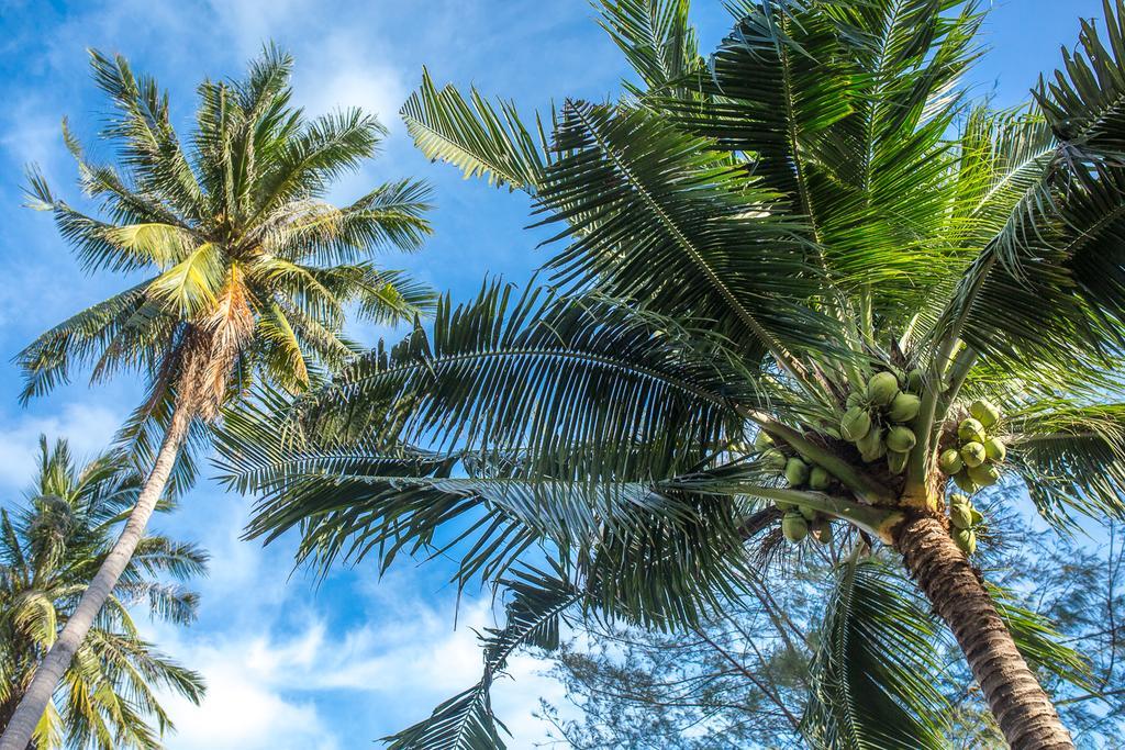 Samui Caravans Laem Sor Exteriör bild